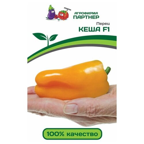 ������ ������ ������ ����� ������� 