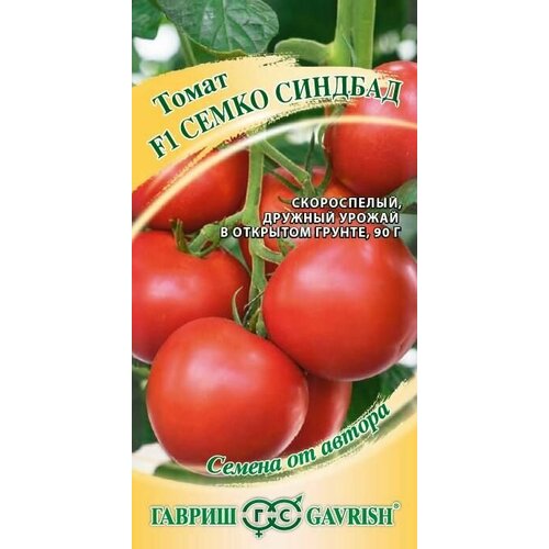 ������ ������ ����� ����� ������� F1 12 ��. ����