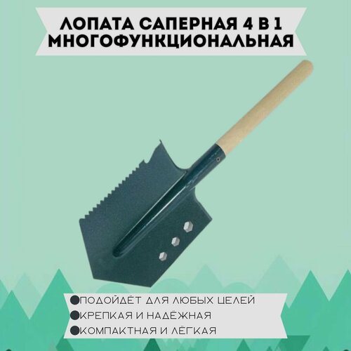 ������ ������ ������ ������������������� 4 � 1 ����