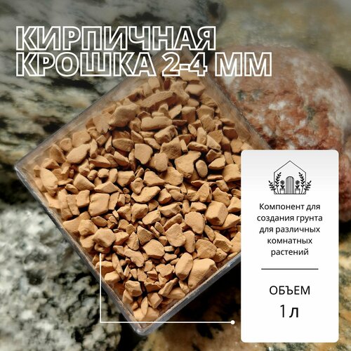 ������ ������ ��������� ������ 2-4�� - 1� / ������ ��� ��������, ����������� ����