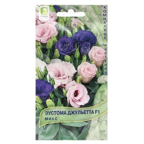 ������ ������ ������ ����� ������� ��������� F1 ����, 5 �� ����