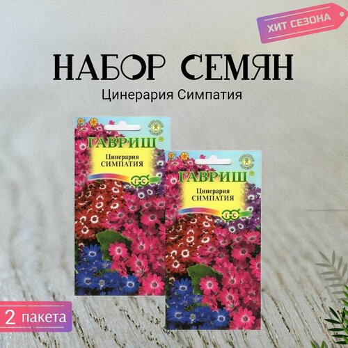 ������ ������ ����� ��������� ��������, ����� 2 ������ �� 8�� ����� ����