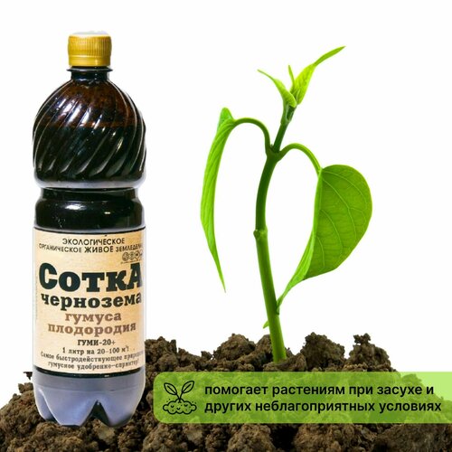 ������ ������ ������ ��������� ����� ��������� (����-20) 1� ����