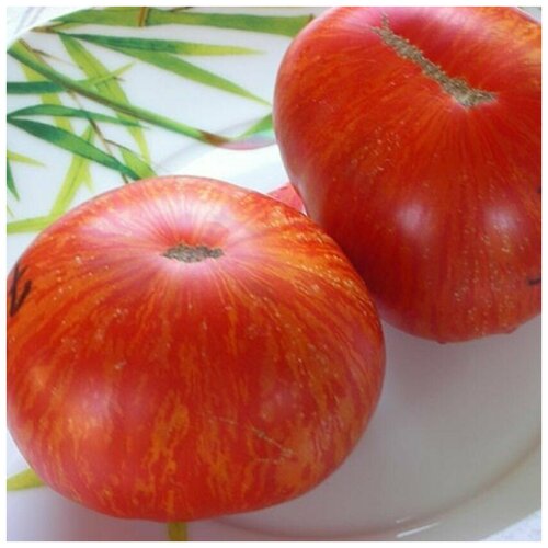 ������ ������ ������ ������ ����� ���� ������� ���-����� 10 ��. ����