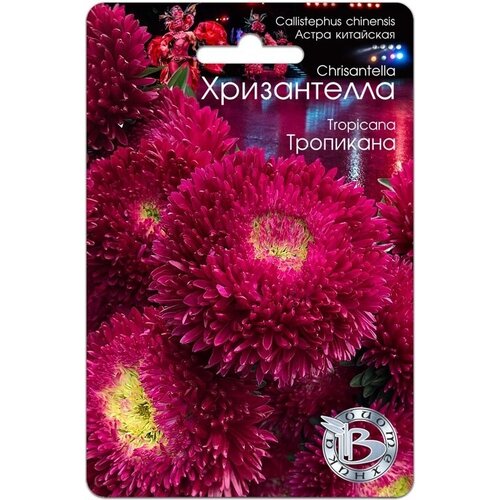 ������ ������ ������ ����� ��������� ����������� ��������� (30 �����) ����