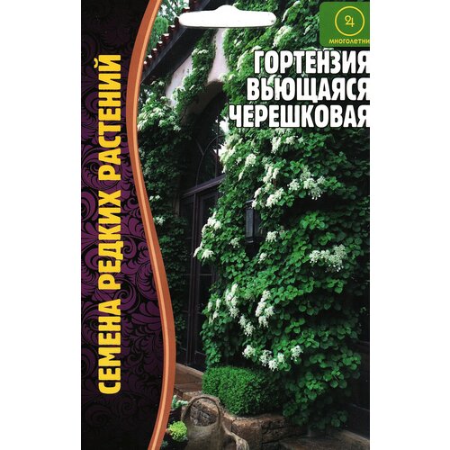 ������ ������ ��������� �������� ����������, ����������� ( 1 ��: 20 ����� ) ����