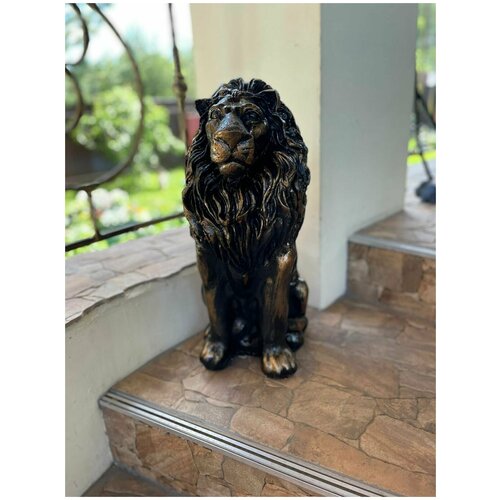 ������ ������ 