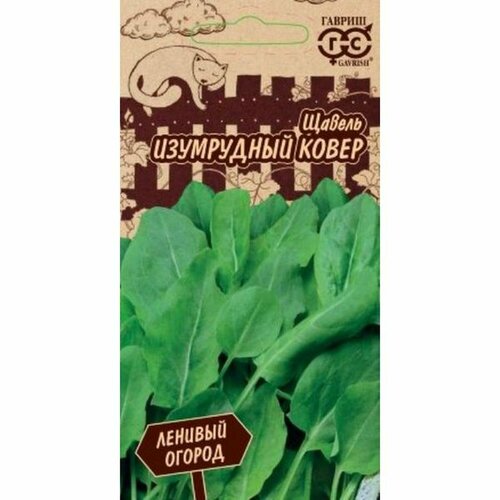 ������ ������ ������ ������ ���������� �����, �����������, (������) 0,2� ������� ������ �20 ����