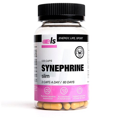 ������ ������ ��������, 120 ������ ����