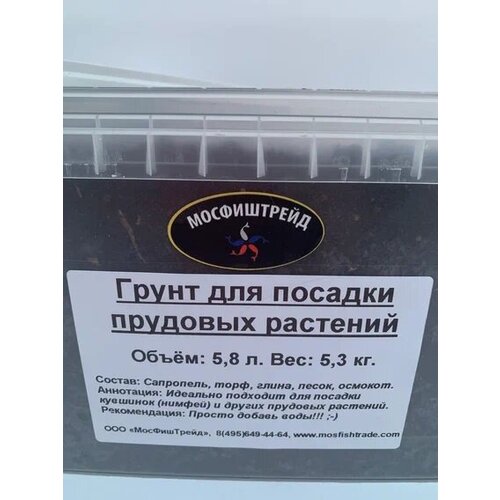 ������ ������ ����� ��� �������� �������� 5,8 �. ������ ����