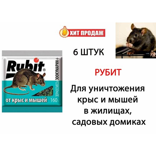     Rubit +   160 , 6    -     , -,   