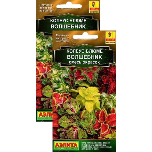 ������ ������ ������ ����� ��������� ����� ������ (5 �����), 2 ������ ����