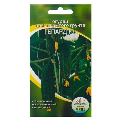 ������ ������ ������ ����� 