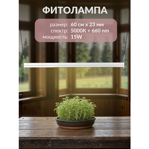 ������ ������ ���������, ��� �������� � �������, 60��, 15��, ������� ����� ���� ����