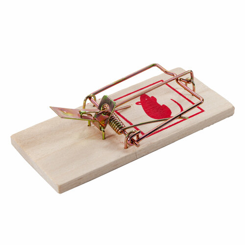 ������ ������ ��������� ���������� 46 � 98 ��, Mr. Mouse ����