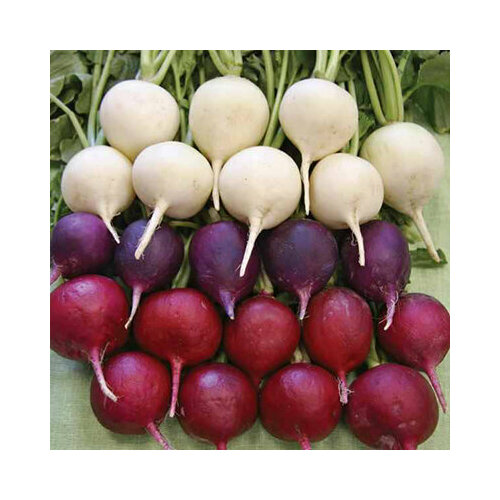 ������ ������ ������ ����� �������� 3� ������ ����� (������� ������) ����