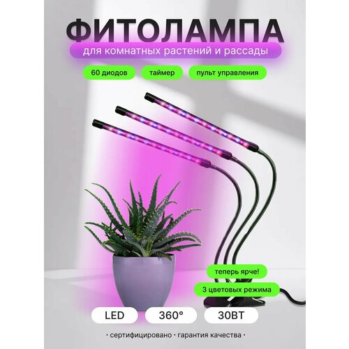 ������ ������ ��������� �� ��������, 3 �����, ������ ������, 3 � 10, 30��, ��� ����� ��������, � �������� � �������� ����