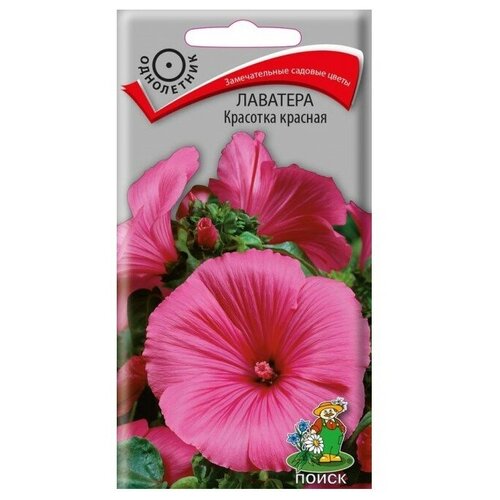 ������ ������ ������ ����� �������� �������� ������� 0.3 � ����