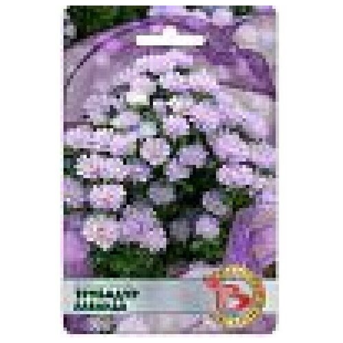 ������ ������ ������ ����� ��������� 