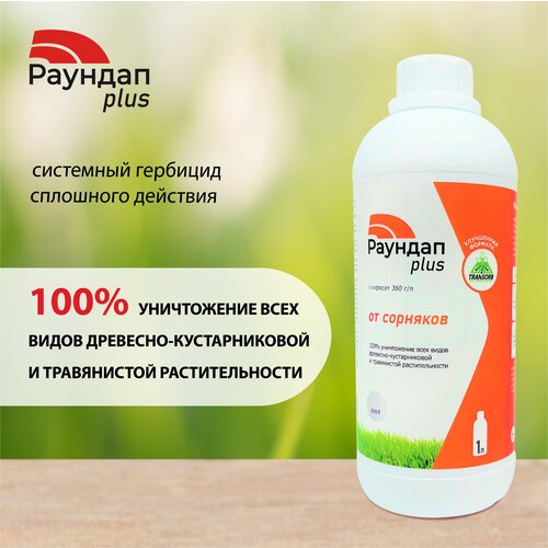 ������ ������ �������� �� �������� ������� Plus 1 �. ����