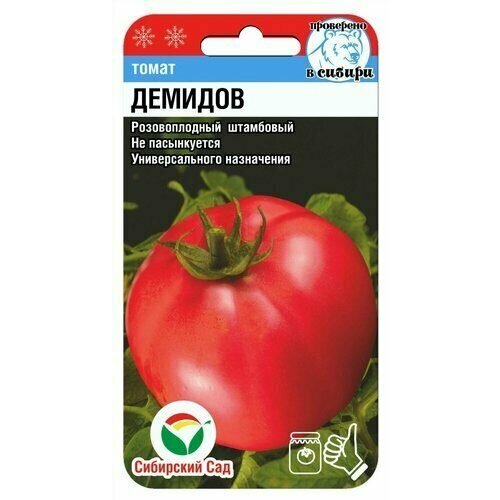 ������ ������ ������ ����� ������� 20�� ��� (��������� ���) ����