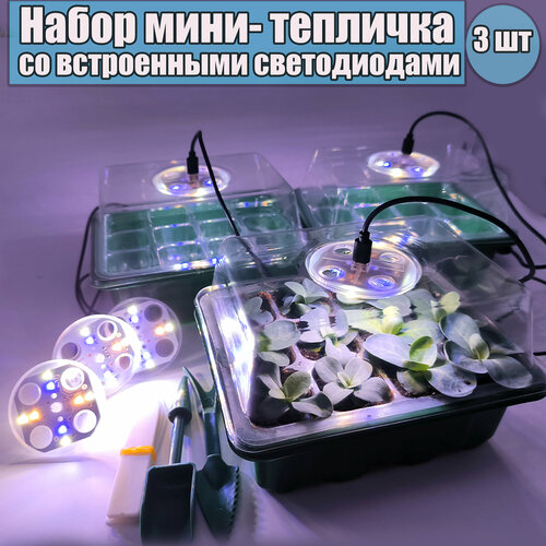 ������ ������ ���� ������ ��� �������. ���� ��������. ���������� ����������. ����� �� 3 ��. ����