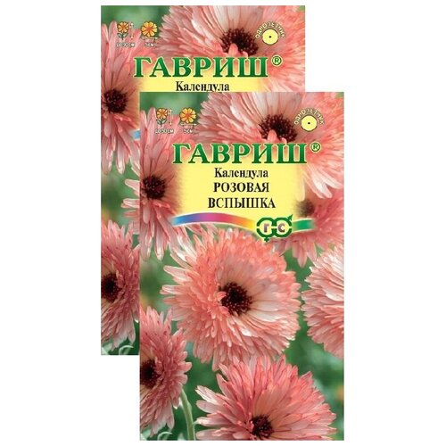 ������ ������ ��������� ������� ������� (0,2 �), 2 ������ ����