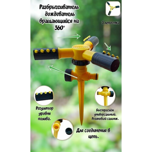 ������ ������ ����������� ���������, ���������������, ����������� ������ ����