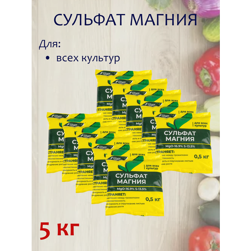 ������ ������ 5�� ��������� ����������� ������� ������ 500� �10�� ������� ���������� ����� ����