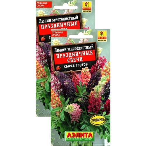 ������ ������ ����� ����������� ����� ����� (15 �����), 2 ������ ����