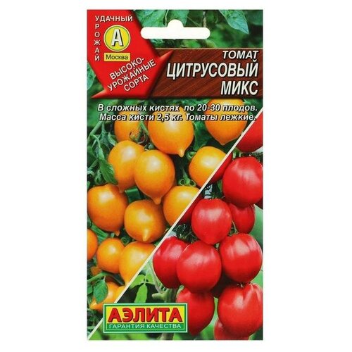 ������ ������ ������ ����� 