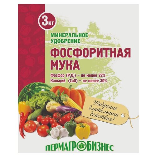 ������ ������ ��������� ����������� 