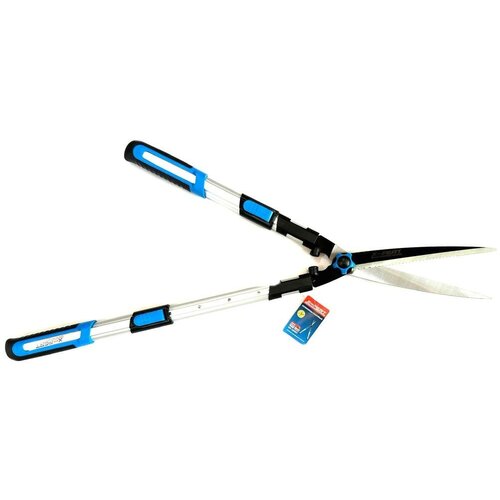 ������ ������ �������� ��������������� ����������� XP-12007 ����