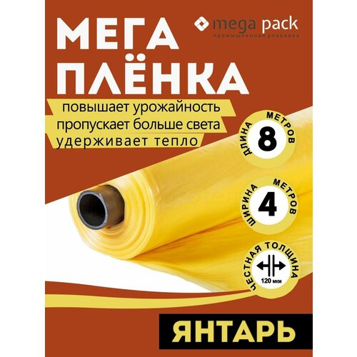 ������ ������ ������ ���������� ������ ���� ���� ����