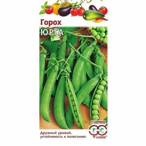 ������ ������ ������ ����� ���� (������) 10� ����