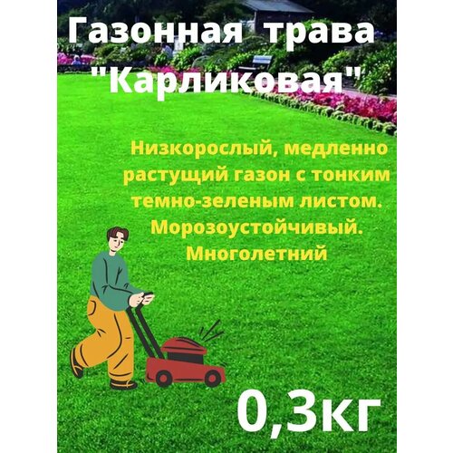 ������ ������ �������� ����� 