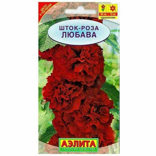 ������ ������ ������ ����-���� ������, ����������, (������) 15�� ����