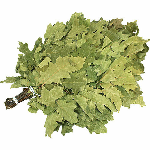 ������ ������ ����� �� ���� ���������� ����