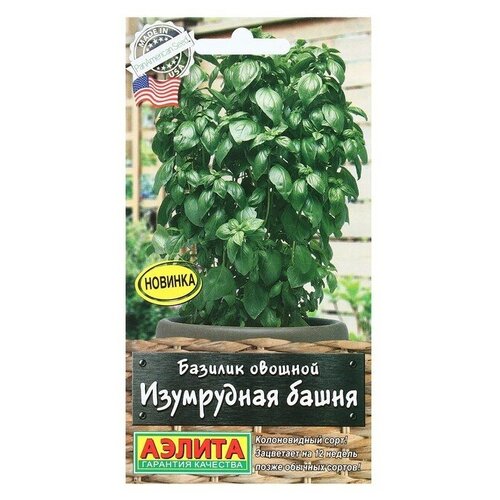 ������ ������ ������ ������� ������� ���������� �����, 10 �� ����