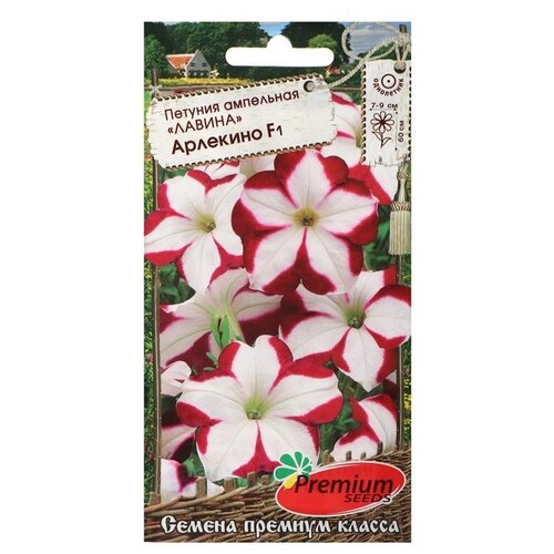 ������ ������ ������ Premium seeds ������� ��������� ������ �������� F1, 10 ��, 2 ��. ����