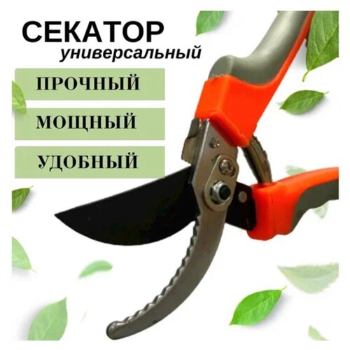 ������ ������ ������� ������������� ������� ���������������� ��� ���� � ���� ����