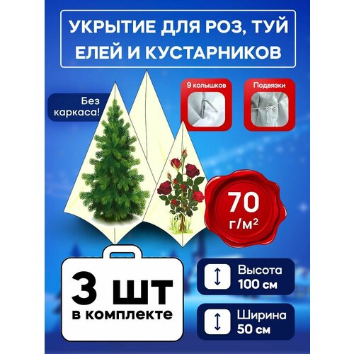 ������ ������ ����� 70�� ��� ��� � ������������ ����������� 100 �� + ����� ����