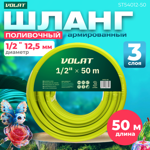 ������ ������ ����� ���������� ����� 1/2