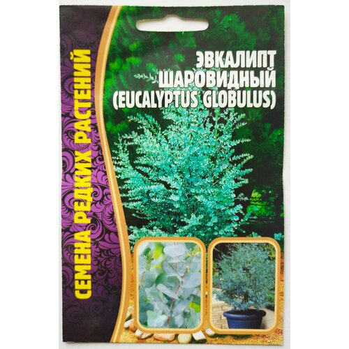 ������ ������ �������� ���������� Globulus 10�� ����� ����