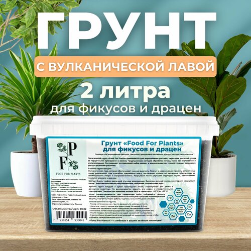 ������ ������ ����� Food For Plants, �������������, ��� ������, ��� �������, 2 � ����