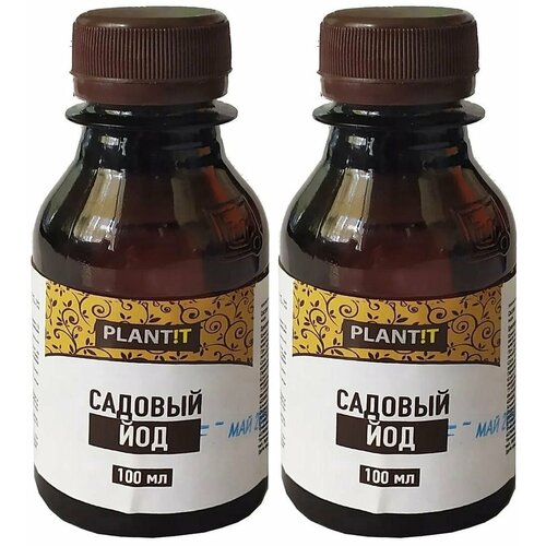 ������ ������ ��� ������� �� ����������� �� �������, ���, ���� 