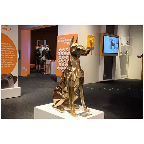 ������ ������ ������������� ������ �������� ����