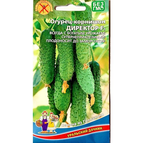 ������ ������ ������ ������-�������� �������� F1 ����