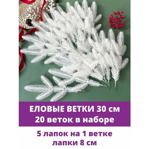 ������ ������ ������ ����� � ����� ������������� ��� ������, 5 ����� �� �����, ����� 30 ��, 20 ����� ����