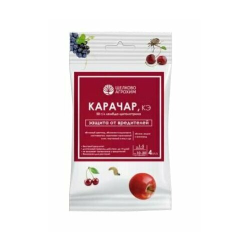 ������ ������ ������� (���. ��� 4��.) ������� ����